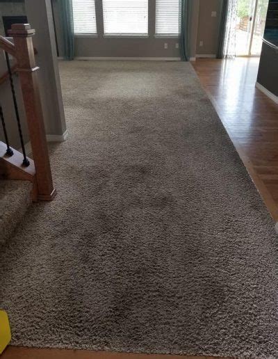 carpet cleaner castle rock co|Trusted Local Carpet Cleaning In Castle Rock CO